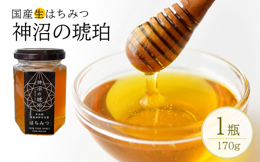 非加熱&nbsp;国産生はちみつ『神沼の琥珀』　170g×1個【11100-0358】