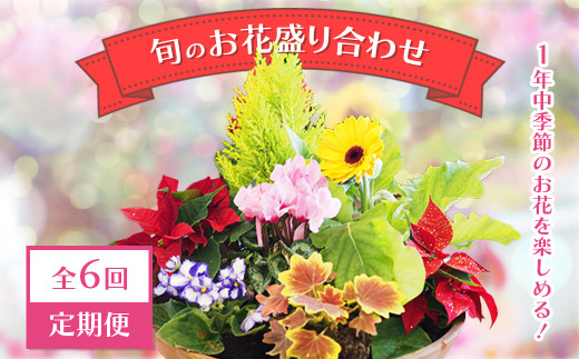 【定期便】【全6回定期便】1年中季節のお花が楽しめる！旬のお花盛り合わせ（2か月に1回お届け）