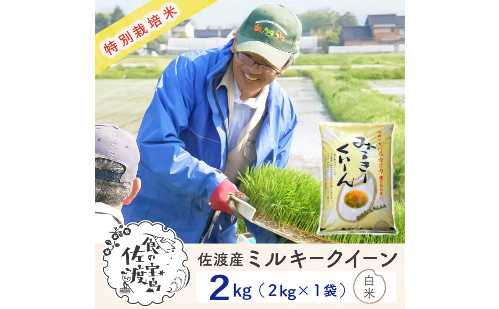 佐渡島産ミルキークイーン&nbsp;白米2Kg&nbsp;令和7年産&nbsp;特別栽培米