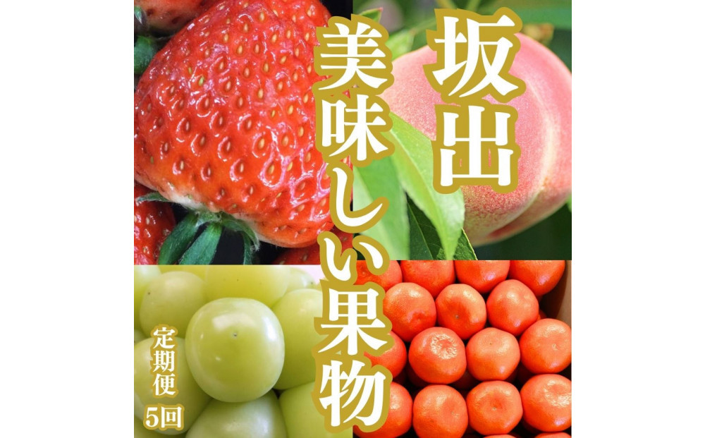 【全5回】坂出の美味しい果物定期便　四季折々の果物をお届けします