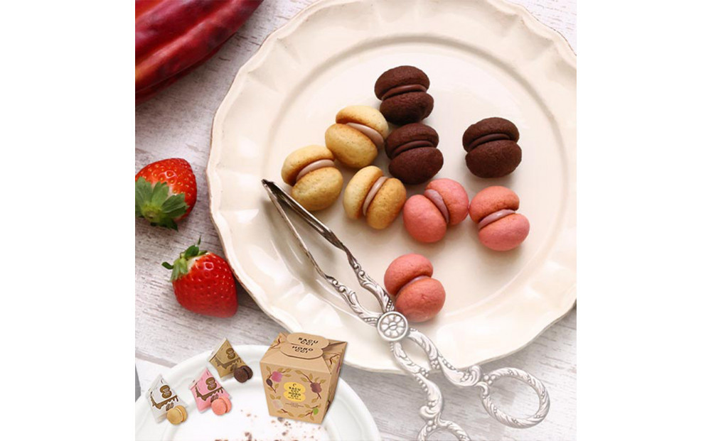 ＜シーキューブ＞サクッチ・ホロッチ　12個入　CSC-12RC