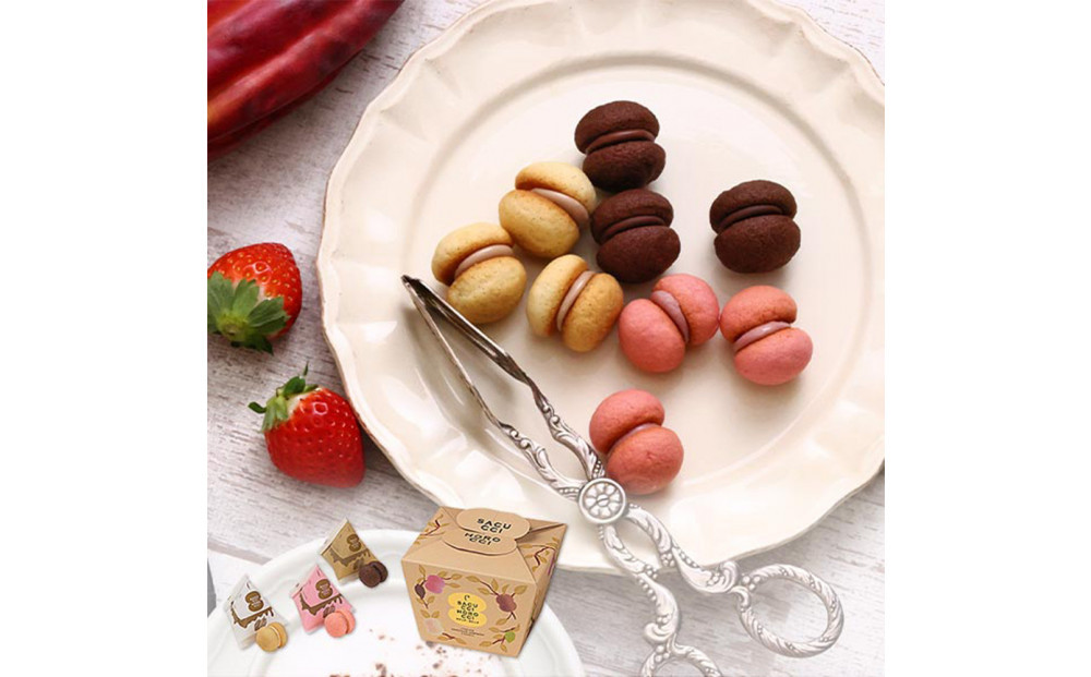 ＜シーキューブ＞サクッチ・ホロッチ　21個入　CSC-21RC