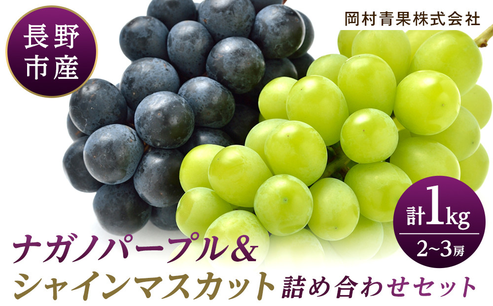 金オ岡村青果株式会社　長野市産&nbsp;ナガノパープル＆シャインマスカット詰合せ１kg【2026年9月以降出荷分】フルーツ&nbsp;ぶどう&nbsp;葡萄&nbsp;果物&nbsp;人気&nbsp;種なし&nbsp;新鮮&nbsp;期間限定&nbsp;令和8年&nbsp;2026年発送&nbsp;|&nbsp;&nbsp;シャインマスカット&nbsp;ぶどう&nbsp;フルーツ&nbsp;果物&nbsp;人気&nbsp;おすすめ&nbsp;ギフト&nbsp;プレゼント&nbsp;送料無料&nbsp;長野県&nbsp;長野市&nbsp;信州&nbsp;信濃&nbsp;ふるさと納税