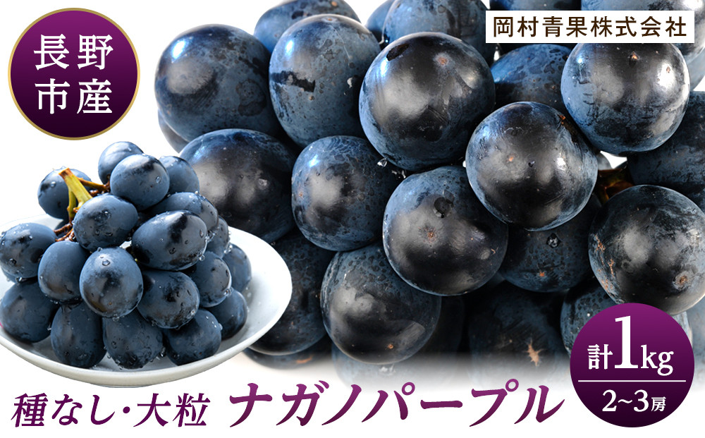 金オ岡村青果株式会社　長野市産&nbsp;ナガノパープル1kg【2026年9月以降出荷分】果物&nbsp;くだもの&nbsp;フルーツ&nbsp;デザート&nbsp;種無し&nbsp;大粒&nbsp;旬&nbsp;|&nbsp;&nbsp;ぶどう&nbsp;フルーツ&nbsp;果物&nbsp;人気&nbsp;おすすめ&nbsp;ギフト&nbsp;プレゼント&nbsp;送料無料&nbsp;長野県&nbsp;長野市&nbsp;信州&nbsp;信濃&nbsp;ふるさと納税