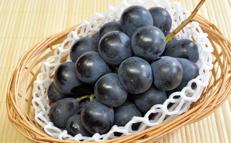 長野市産&nbsp;ナガノパープル2kg【2026年9月以降出荷分】果物&nbsp;くだもの&nbsp;フルーツ&nbsp;デザート&nbsp;種無し&nbsp;大粒&nbsp;旬&nbsp;長野市