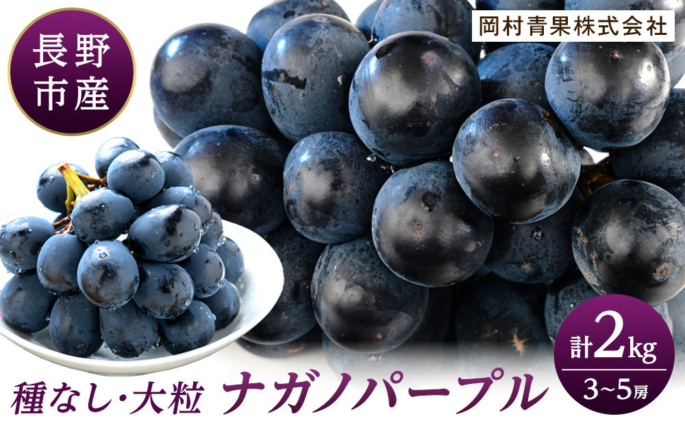 金オ岡村青果株式会社　長野市産&nbsp;ナガノパープル2kg【2026年9月以降出荷分】果物&nbsp;くだもの&nbsp;フルーツ&nbsp;デザート&nbsp;種無し&nbsp;大粒&nbsp;旬&nbsp;&nbsp;|&nbsp;&nbsp;ぶどう&nbsp;フルーツ&nbsp;果物&nbsp;人気&nbsp;おすすめ&nbsp;ギフト&nbsp;プレゼント&nbsp;送料無料&nbsp;長野県&nbsp;長野市&nbsp;信州&nbsp;信濃&nbsp;ふるさと納税