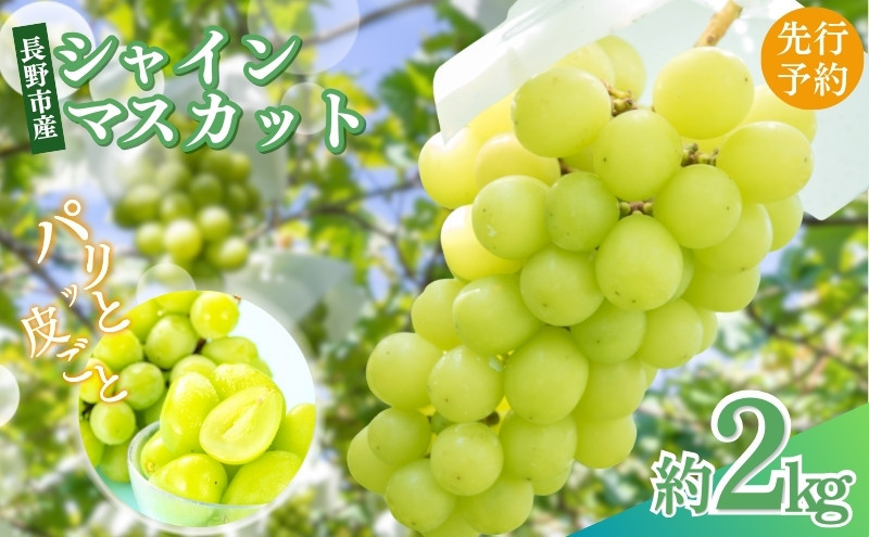 長野県&nbsp;長野市産&nbsp;シャインマスカット2kg(2～6房)【2026年9月下旬頃～発送予定】（矢島農園）