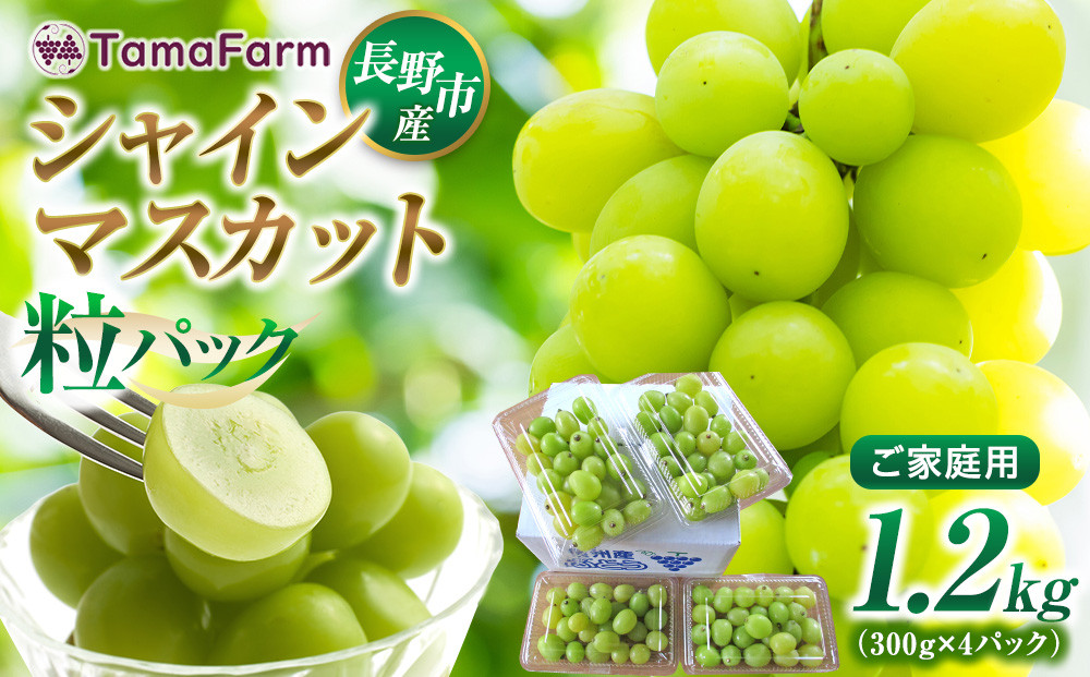タマファーム　長野市産&nbsp;シャインマスカット&nbsp;粒パック&nbsp;ご家庭用&nbsp;1.2kg（300g×4パック）&nbsp;|&nbsp;&nbsp;シャインマスカット&nbsp;ぶどう&nbsp;葡萄&nbsp;フルーツ&nbsp;果物&nbsp;家庭用&nbsp;人気&nbsp;おすすめ&nbsp;タマファーム&nbsp;直送&nbsp;&nbsp;&nbsp;送料無料&nbsp;長野県&nbsp;長野市&nbsp;信州&nbsp;信濃&nbsp;ふるさと納税