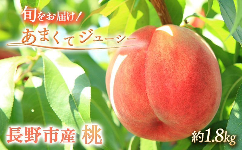 長野県&nbsp;長野市産&nbsp;桃1.8kg(6～11個)【2026年7月下旬頃～発送予定】（矢島農園）