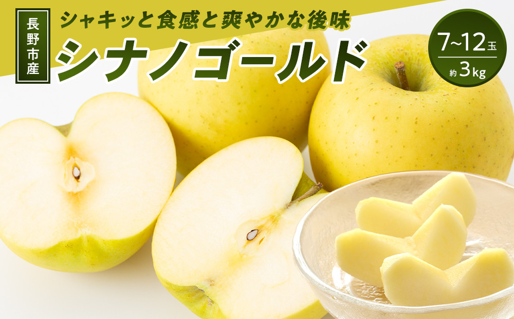 長野市産&nbsp;シナノゴールド&nbsp;3kg(7玉～12玉入り)&nbsp;りんご&nbsp;信濃の味【2026年10月下旬頃より発送予定】&nbsp;|&nbsp;りんご&nbsp;&nbsp;シナノゴールド&nbsp;約3kg&nbsp;人気&nbsp;おすすめ&nbsp;フルーツ&nbsp;果物&nbsp;リンゴ&nbsp;林檎&nbsp;長野県&nbsp;長野市&nbsp;信州&nbsp;信濃&nbsp;ふるさと納税