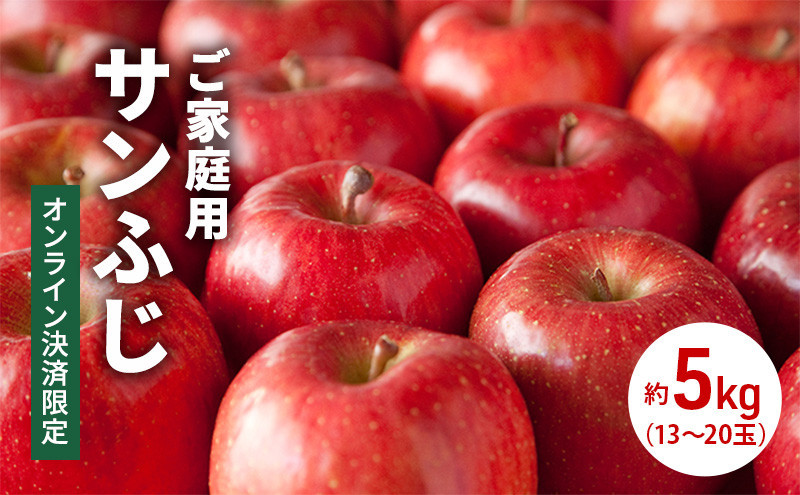 長野市産&nbsp;サンふじ&nbsp;りんご&nbsp;家庭用&nbsp;訳あり&nbsp;5kg&nbsp;【2027年1月中旬頃より発送予定】
