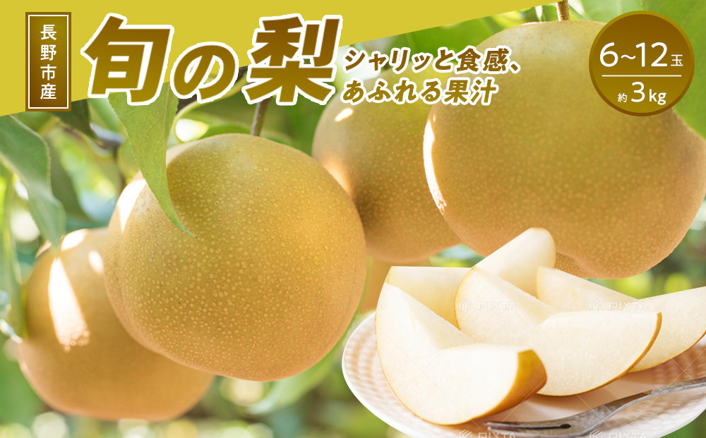 長野市産&nbsp;梨&nbsp;3kg（6～12玉）【2026年9月上旬以降発送予定】(さらしな青果)&nbsp;|&nbsp;梨&nbsp;人気&nbsp;おすすめ&nbsp;フルーツ&nbsp;果物&nbsp;なし&nbsp;ナシ&nbsp;和梨&nbsp;長野県&nbsp;長野市&nbsp;信州&nbsp;信濃&nbsp;ふるさと納税
