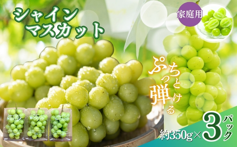 【訳あり】長野市産&nbsp;シャインマスカット&nbsp;約1.0kg（ご家庭用）【2026年9月下旬以降出荷予定】わけあり&nbsp;長野&nbsp;|&nbsp;ぶどう&nbsp;訳あり&nbsp;農家応援&nbsp;シャインマスカット&nbsp;約1kg&nbsp;人気&nbsp;おすすめ&nbsp;フルーツ&nbsp;果物&nbsp;葡萄&nbsp;ブドウ&nbsp;種なし&nbsp;皮ごと&nbsp;旬&nbsp;長野県&nbsp;長野市&nbsp;信州&nbsp;信濃&nbsp;ふるさと納税