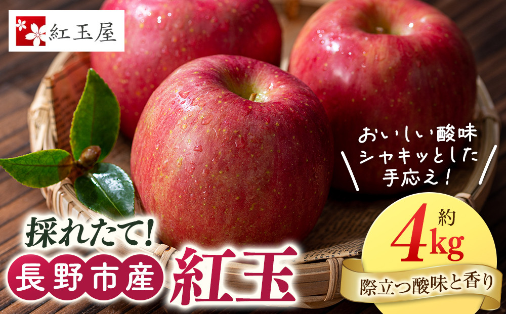 紅玉屋&nbsp;長野市産&nbsp;紅玉&nbsp;4kg【2026年9月下旬以降の出荷分】（紅玉屋）&nbsp;|&nbsp;&nbsp;りんご&nbsp;林檎&nbsp;&nbsp;フルーツ&nbsp;果物&nbsp;ギフト&nbsp;&nbsp;人気&nbsp;おすすめ&nbsp;送料無料&nbsp;長野県&nbsp;長野市&nbsp;信州&nbsp;信濃&nbsp;ふるさと納税