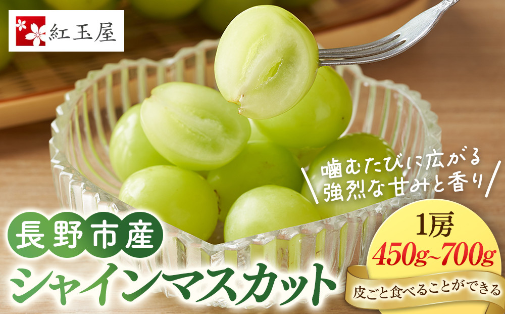 ★&nbsp;紅玉屋&nbsp;長野市産大粒シャインマスカット1房（約450g～800g）【2026年9月上旬頃より順次発送】&nbsp;|&nbsp;&nbsp;シャインマスカット&nbsp;ぶどう&nbsp;フルーツ&nbsp;果物&nbsp;国産&nbsp;人気&nbsp;おすすめ&nbsp;ギフト&nbsp;プレゼント&nbsp;送料無料&nbsp;長野県&nbsp;長野市&nbsp;信州&nbsp;信濃&nbsp;ふるさと納税