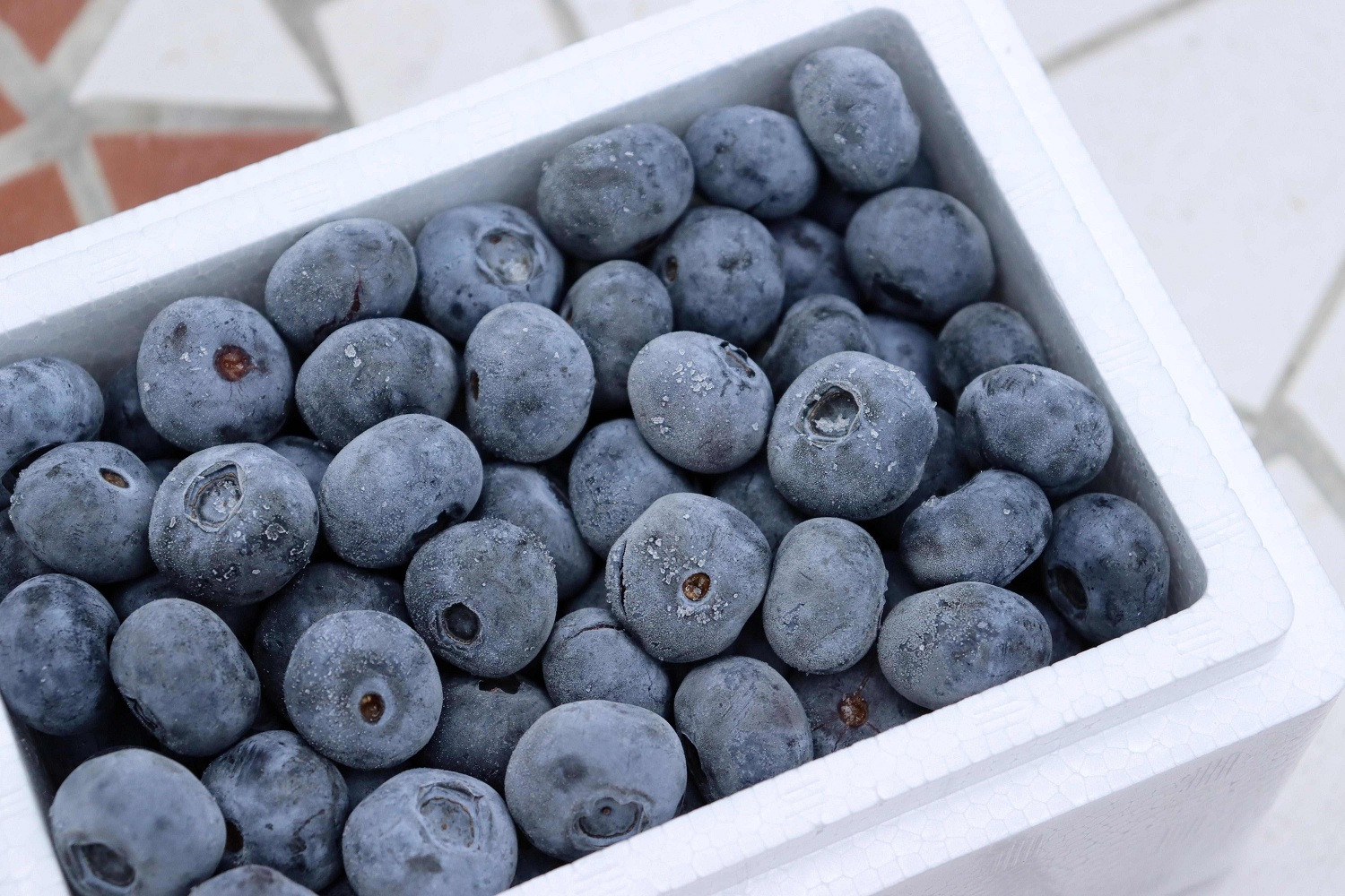 長野市産「森のサファイア」冷凍ブルーベリー（Lサイズ）500ｇスチロールパック