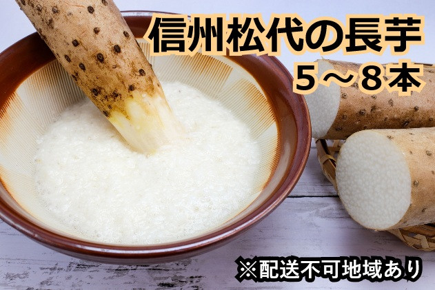 信州の長芋【調理しやすい食べきりサイズ】5～8本入り