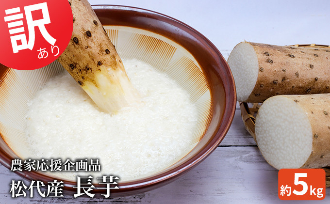 松代産長芋約5kg【地域の生産者応援の品(訳あり品)】