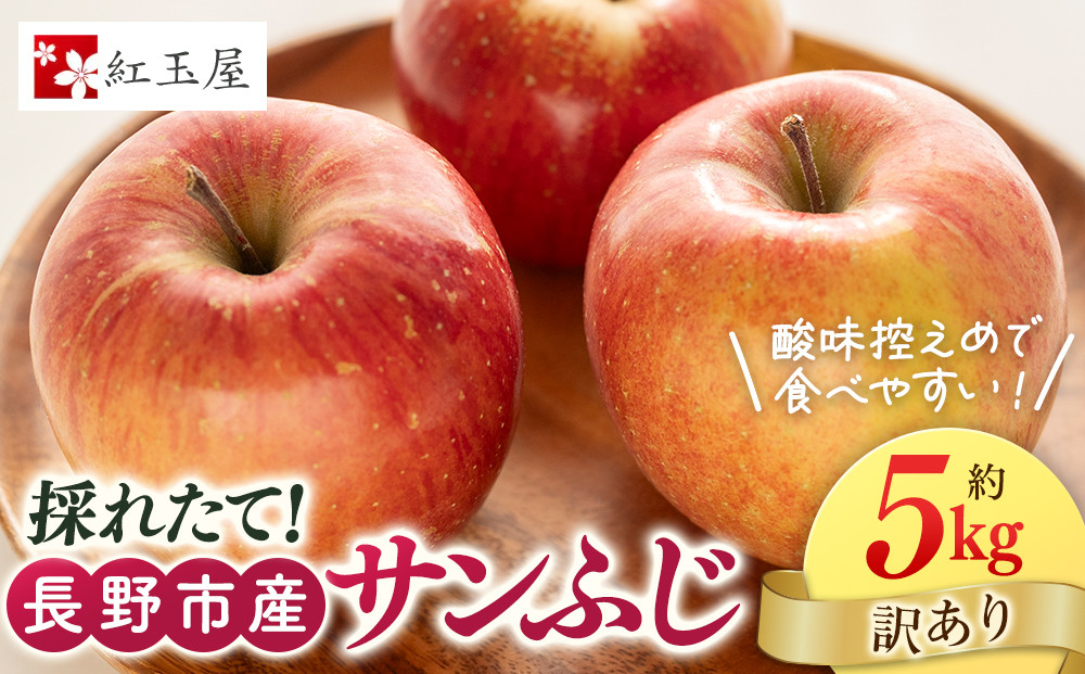 紅玉屋&nbsp;長野市産【訳あり】サンふじ5kg【2026年12月上旬以降の出荷分】（紅玉屋）&nbsp;|&nbsp;&nbsp;りんご&nbsp;フルーツ&nbsp;果物&nbsp;サンふじ&nbsp;訳あり&nbsp;人気&nbsp;おすすめ&nbsp;ギフト&nbsp;プレゼント&nbsp;送料無料&nbsp;長野県&nbsp;長野市&nbsp;信州&nbsp;信濃&nbsp;ふるさと納税