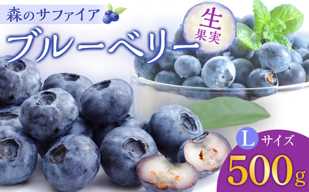 【Lサイズ】生ブルーベリー「森のサファイア」500g&nbsp;|&nbsp;ブルーベリー&nbsp;&nbsp;フルーツ&nbsp;冷蔵&nbsp;&nbsp;人気&nbsp;おすすめ&nbsp;ギフト&nbsp;送料無料&nbsp;長野県&nbsp;長野市&nbsp;信州&nbsp;信濃&nbsp;ふるさと納税
