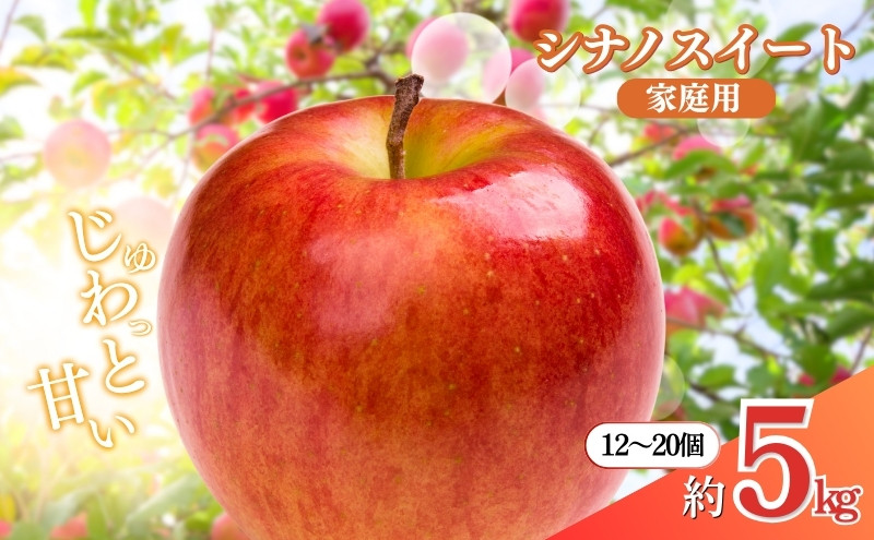 長野県&nbsp;長野市産&nbsp;シナノスイート&nbsp;家庭用&nbsp;5kg(12～20玉)【2026年10月下旬頃発送予定】（矢島農園）