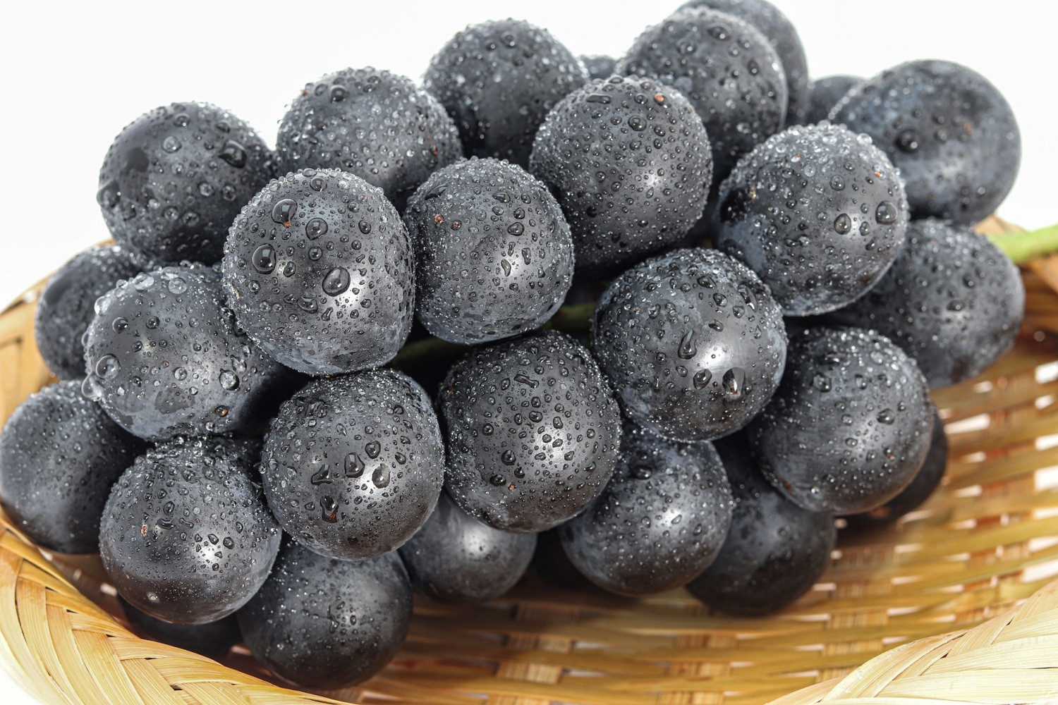 ナガノパープル約1kg&nbsp;以上【2026年9月以降発送予定】(さらしな青果)&nbsp;|&nbsp;&nbsp;ぶどう&nbsp;ナガノパープル&nbsp;&nbsp;オリジナル&nbsp;人気&nbsp;おすすめ&nbsp;葡萄&nbsp;ブドウ&nbsp;フルーツ&nbsp;果物&nbsp;種なし&nbsp;皮ごと&nbsp;大粒&nbsp;旬&nbsp;ギフト&nbsp;プレゼント&nbsp;長野県&nbsp;長野市&nbsp;信州&nbsp;信濃&nbsp;ふるさと納税