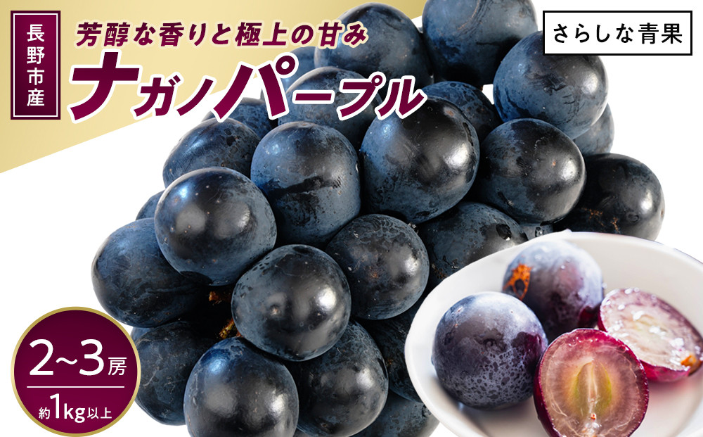 ナガノパープル約1kg&nbsp;以上【2026年9月以降発送予定】(さらしな青果)&nbsp;|&nbsp;&nbsp;ぶどう&nbsp;ナガノパープル&nbsp;&nbsp;オリジナル&nbsp;人気&nbsp;おすすめ&nbsp;葡萄&nbsp;ブドウ&nbsp;フルーツ&nbsp;果物&nbsp;種なし&nbsp;皮ごと&nbsp;大粒&nbsp;旬&nbsp;ギフト&nbsp;プレゼント&nbsp;長野県&nbsp;長野市&nbsp;信州&nbsp;信濃&nbsp;ふるさと納税