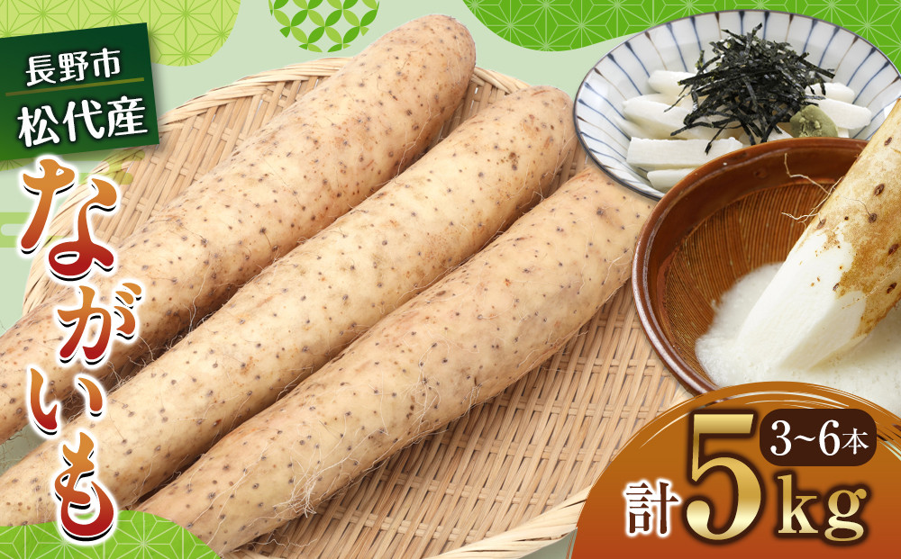 高野農園　長野市ながいも&nbsp;5kg&nbsp;(2026年11月下旬頃出荷分）&nbsp;|&nbsp;&nbsp;ながいも&nbsp;長芋&nbsp;野菜&nbsp;根菜&nbsp;人気&nbsp;おすすめ&nbsp;旬の野菜&nbsp;産地直送&nbsp;グルメ&nbsp;&nbsp;送料無料&nbsp;&nbsp;長野県&nbsp;長野市&nbsp;信州&nbsp;信濃&nbsp;ふるさと納税