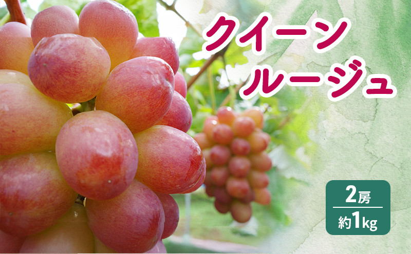 長野市産&nbsp;クイーンルージュ&nbsp;【秀品】2房