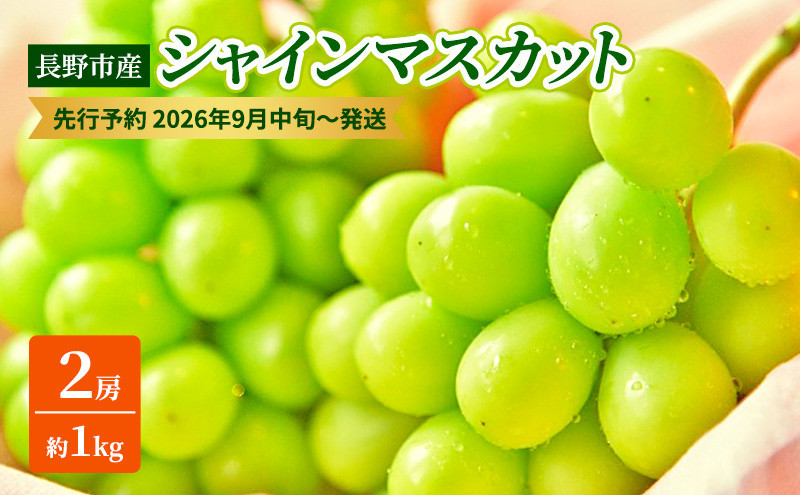 長野市産シャインマスカット2房（約1kg）【2026年9月中旬以降の出荷分】（本気農場いけだ）
