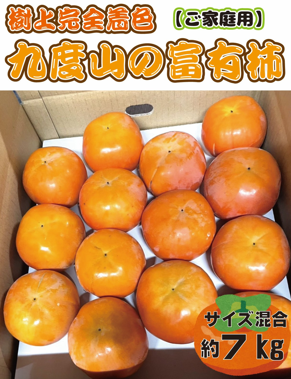 【先行予約】&nbsp;樹上完全着色「九度山の富有柿」★訳あり★&nbsp;約7kg&nbsp;【2026年11月中旬頃から発送予定】