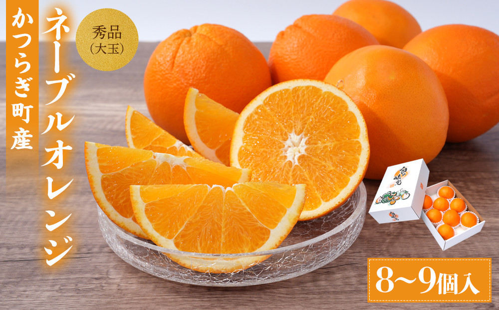 [先行予約]&nbsp;和歌山県産ネーブル&nbsp;約4kg　大玉（8個～9個）秀品&nbsp;こだわり農家厳選&nbsp;［KG35］