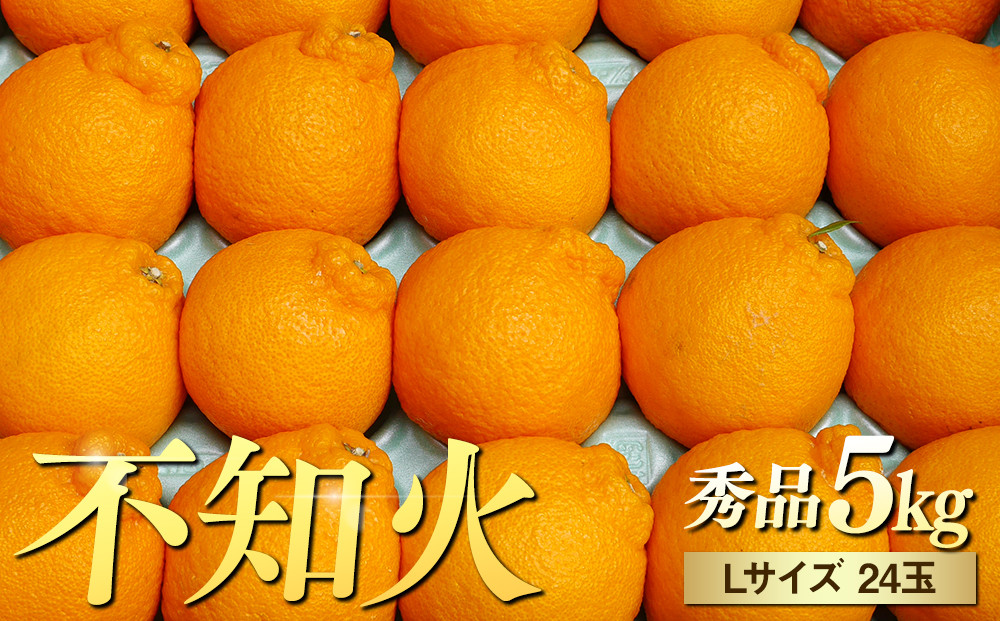 ※先行予約・2026年3月下旬発送開始予定※&nbsp;不知火&nbsp;Lサイズ&nbsp;24玉&nbsp;約5kg&nbsp;秀品