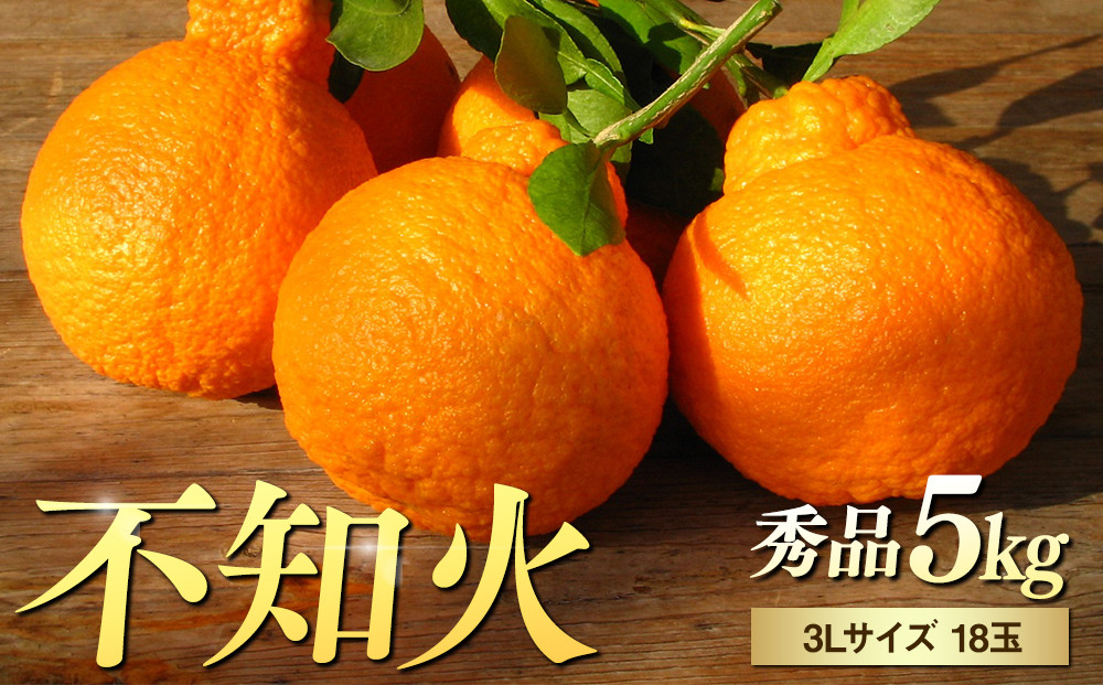 ※先行予約・2026年3月下旬発送開始予定※&nbsp;不知火&nbsp;3Lサイズ&nbsp;18玉&nbsp;約5kg&nbsp;秀品