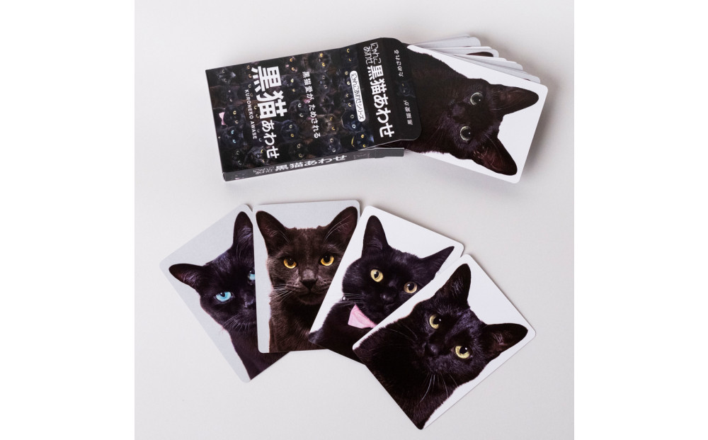 難易度MAXのツンデレ仕様！黒猫あわせ