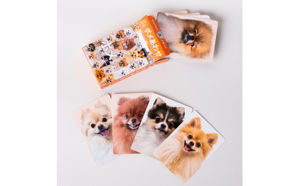 もふもふポメラニアンが大集合！ポメあわせ