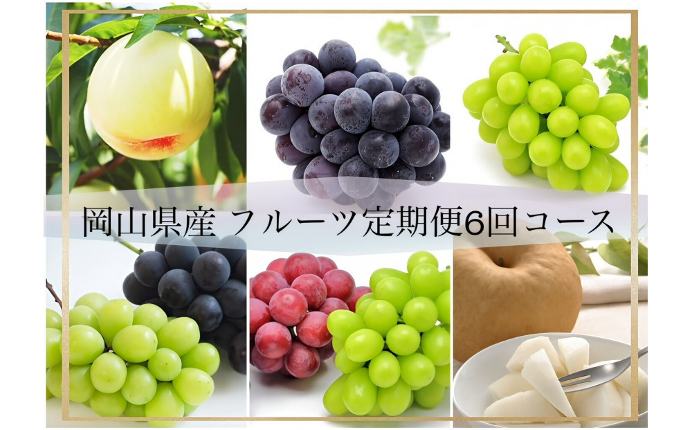 岡山県産&nbsp;フルーツ定期便全6回＜お一人様向け＞