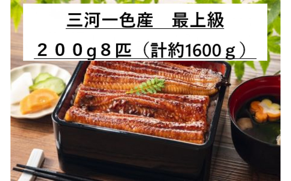 ＜三河一色産うなぎ＞　超特上8匹　（計1600g）老舗　和食　魚兼　国産　高級