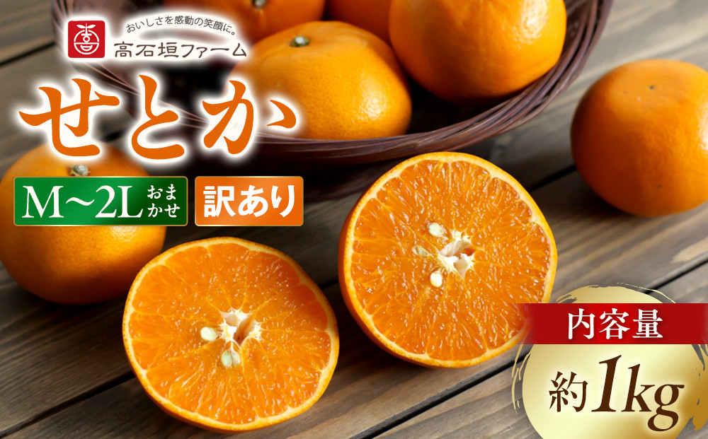 訳あり&nbsp;せとか&nbsp;1kg&nbsp;M～2Lサイズおまかせ&nbsp;高石垣ファーム
