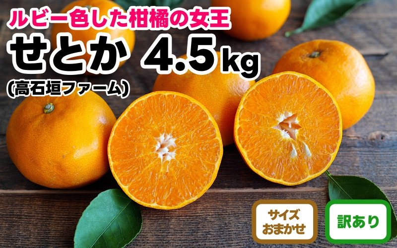 訳あり&nbsp;せとか&nbsp;4.5kg&nbsp;M～2Lサイズおまかせ&nbsp;高石垣ファーム