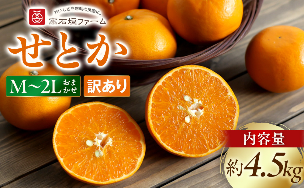 訳あり&nbsp;せとか&nbsp;4.5kg&nbsp;M～2Lサイズおまかせ&nbsp;高石垣ファーム