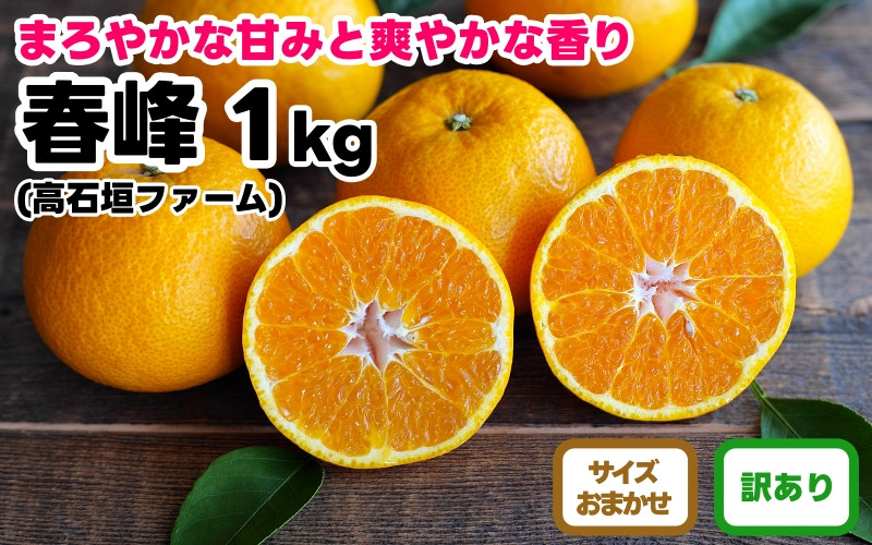 訳あり&nbsp;春峰&nbsp;1kg&nbsp;M～2Lサイズおまかせ&nbsp;高石垣ファーム