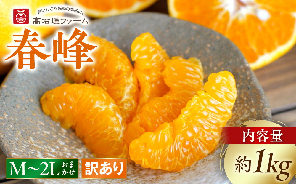 訳あり&nbsp;春峰&nbsp;1kg&nbsp;M～2Lサイズおまかせ&nbsp;高石垣ファーム