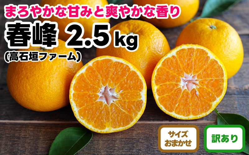 訳あり&nbsp;春峰&nbsp;2.5kg&nbsp;M～2Lサイズおまかせ&nbsp;高石垣ファーム