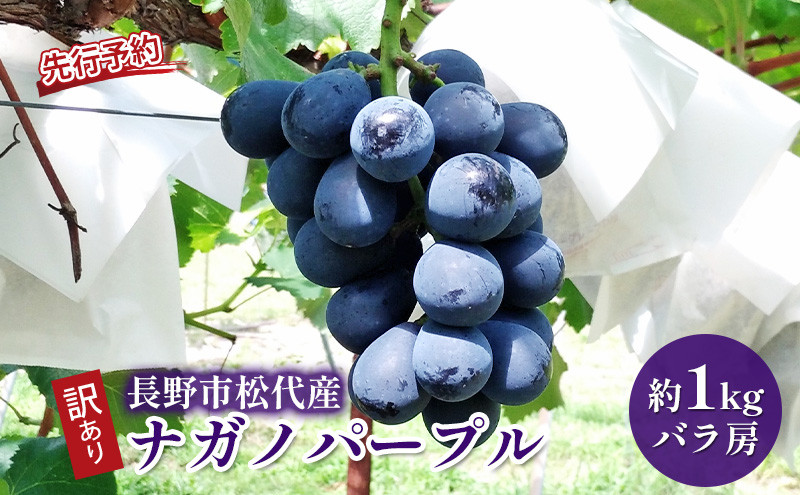 ぶどう&nbsp;&nbsp;訳あり&nbsp;長野市松代産&nbsp;ナガノパープル&nbsp;約1kg&nbsp;バラ房&nbsp;果物&nbsp;ブドウ&nbsp;葡萄&nbsp;フルーツ&nbsp;デザート&nbsp;おやつ&nbsp;種なし&nbsp;TAKANO農園&nbsp;信州