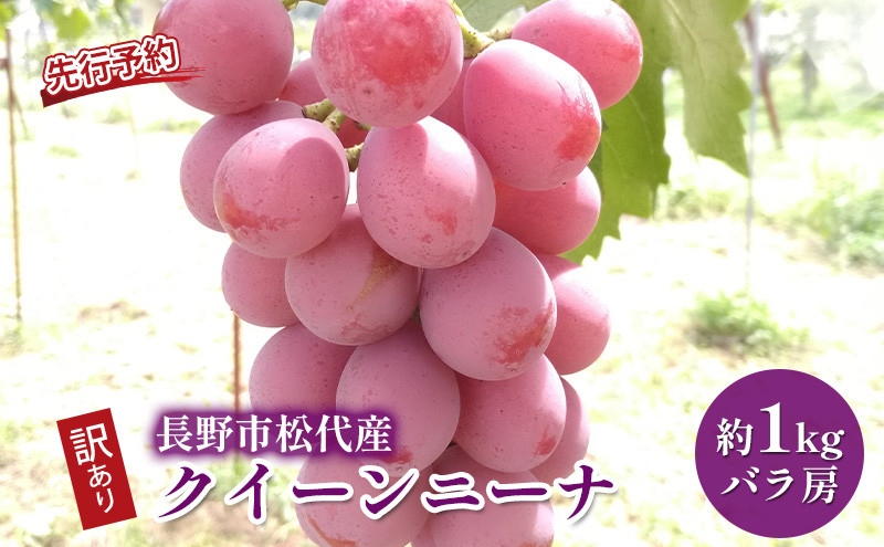 ぶどう&nbsp;&nbsp;長野市松代産&nbsp;訳ありクイーンニーナ&nbsp;約1kg&nbsp;バラ房&nbsp;葡萄&nbsp;ブドウ&nbsp;果物&nbsp;フルーツ&nbsp;デザート&nbsp;おやつ&nbsp;TAKANO農園&nbsp;信州&nbsp;果物類&nbsp;マスカット&nbsp;ギフト&nbsp;手土産