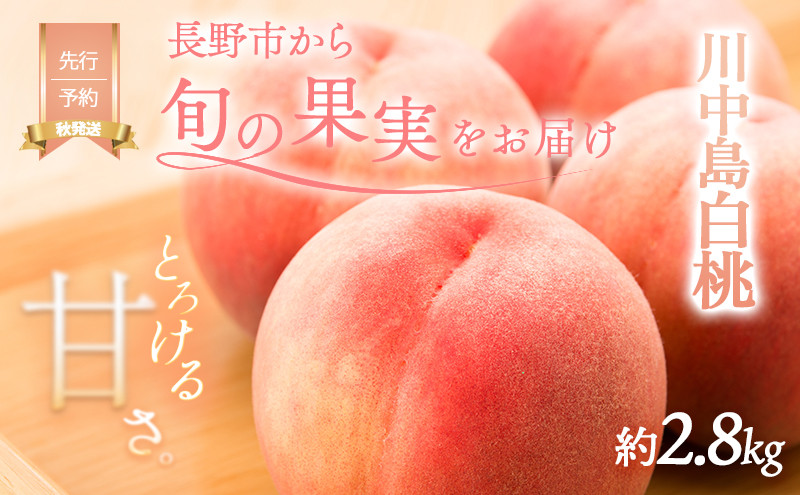 桃&nbsp;先行予約&nbsp;川中島白桃&nbsp;約2.8kg&nbsp;糖度12度&nbsp;白桃&nbsp;フルーツ&nbsp;果物&nbsp;オンライン決済限定