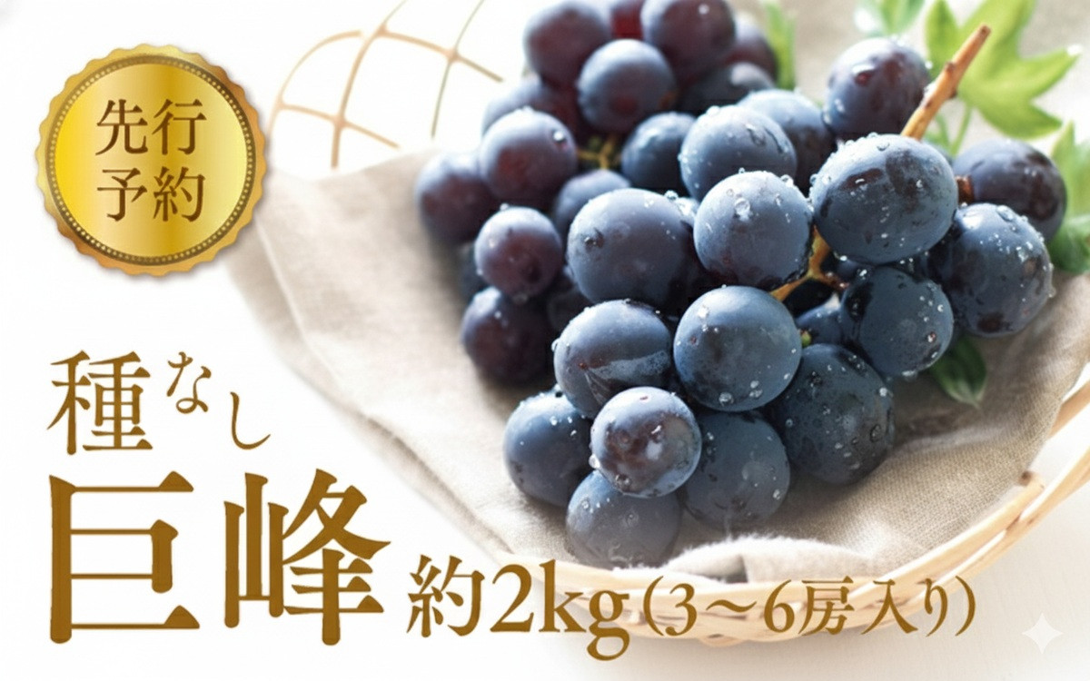 2026年産&nbsp;ぶどう&nbsp;&nbsp;種なし&nbsp;巨峰&nbsp;約&nbsp;2kg&nbsp;箱3～6房入り&nbsp;巨峰種無し&nbsp;フルーツ&nbsp;果物&nbsp;旬&nbsp;ブドウ&nbsp;葡萄&nbsp;おやつ&nbsp;信州&nbsp;長野県&nbsp;長野市&nbsp;2026年&nbsp;秋発送&nbsp;長野県長野市