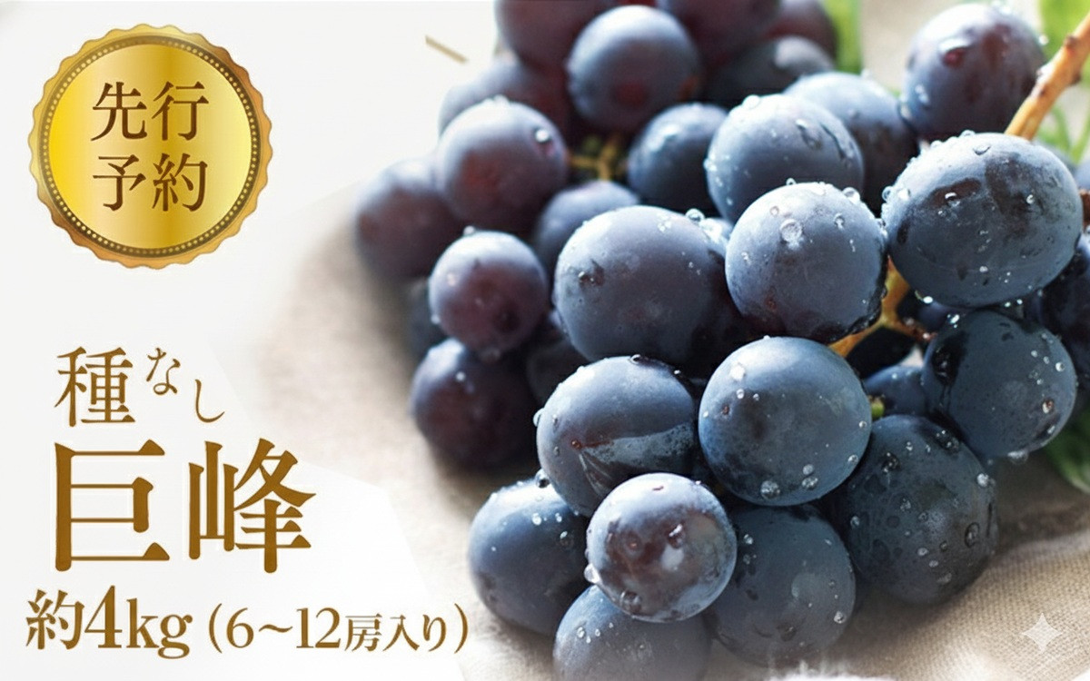 2026年産ぶどう&nbsp;&nbsp;種なし&nbsp;巨峰&nbsp;約4kg&nbsp;6～12房入り&nbsp;果物&nbsp;ブドウ&nbsp;葡萄&nbsp;フルーツ&nbsp;デザート&nbsp;おやつ&nbsp;信州&nbsp;2026年秋発送