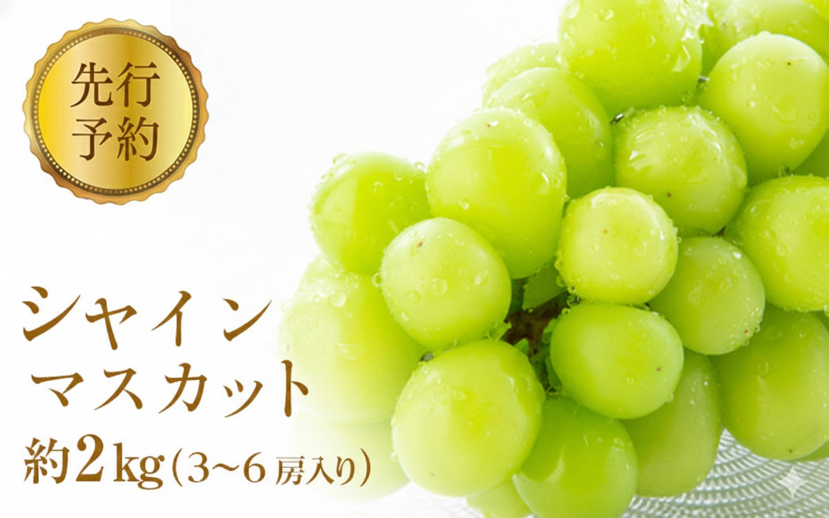 2026年産ぶどう&nbsp;&nbsp;シャインマスカット&nbsp;約2kg&nbsp;3～6房入り&nbsp;葡萄&nbsp;ブドウ&nbsp;フルーツ&nbsp;果物&nbsp;シャイン&nbsp;マスカット&nbsp;デザート&nbsp;おやつ&nbsp;信州&nbsp;2026年秋発送